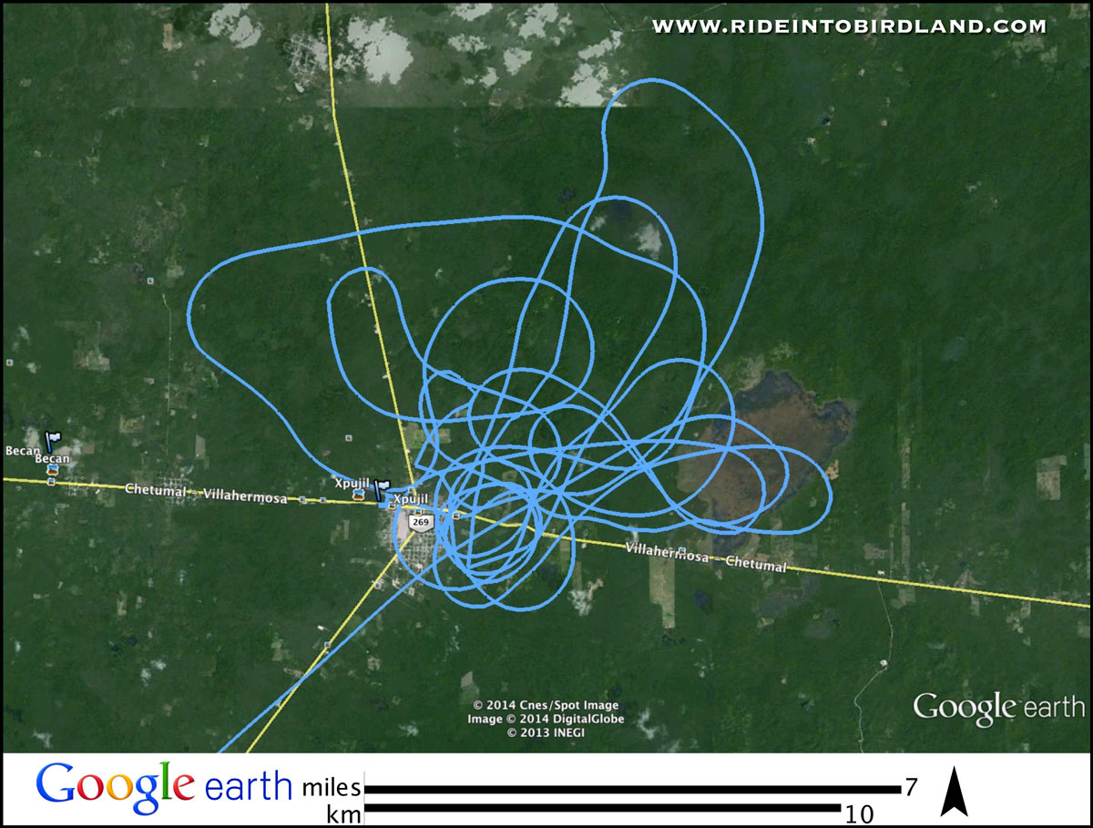 El GPS registró todas las vueltas que dio nuestro avion hasta que las nubes se abrieron para permitir la aproximación a la pista. (Mapa: Google Earth - Iván Gabaldón).