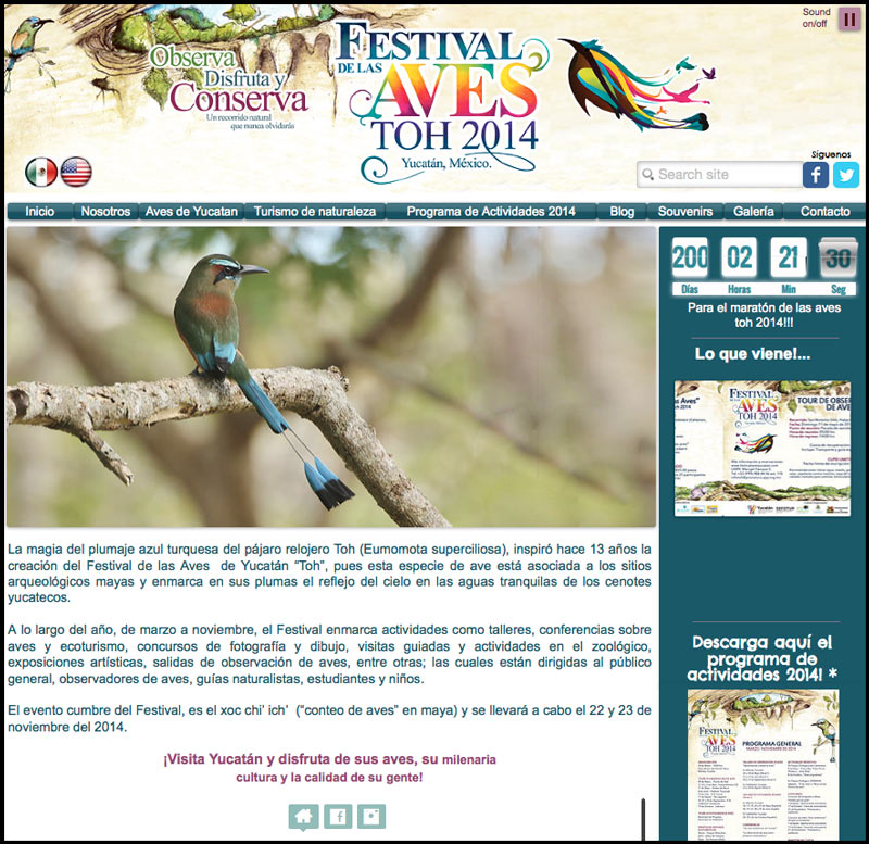 Haz clic en la imagen para visitar el sitio web del Festival de las Aves Toh 2014. (© Pronatura Peninsula de Yucatan).