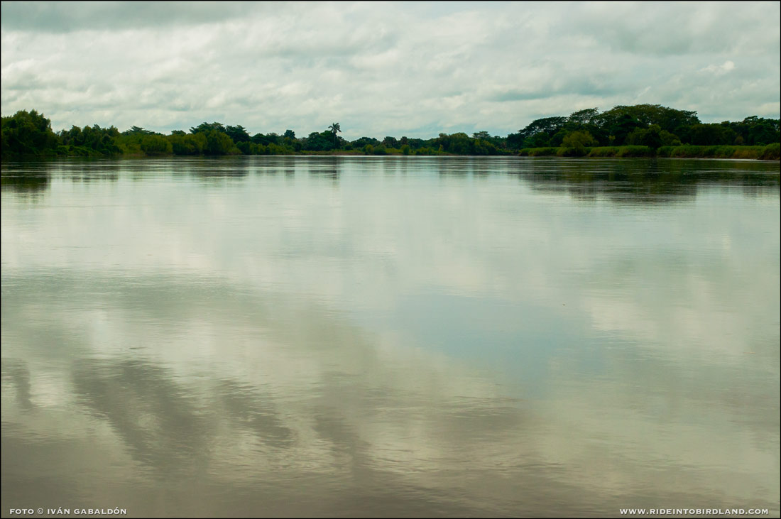 El Río Palizada es un brazo del río Usumacinta, tiene una extensión de 120 km y desemboca en la Laguna de Términos. (Foto © Iván Gabaldón).