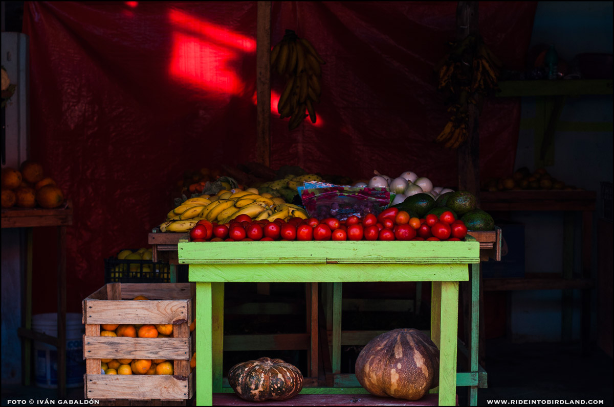 El comercio de frutas y hortalizas, hoy como ayer, actividad vital y cotidiana para los paleños. (Foto © Iván Gabaldón).